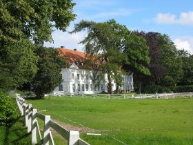 Gut Holstein seitlich.JPG