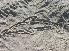 Sandbild Delfin.JPG